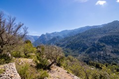 Foto4