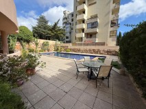 Foto47