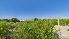 Foto41