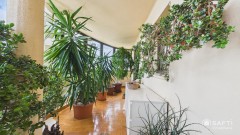 Foto42