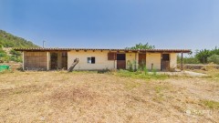 Foto33