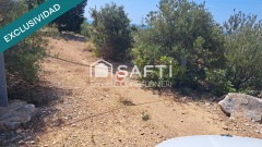 Foto5