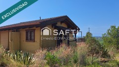 Foto2