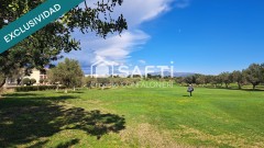 Foto7