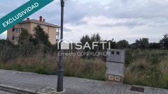 Foto8