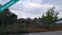 Foto10