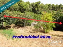 Foto5