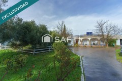 Foto4