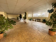 Foto13