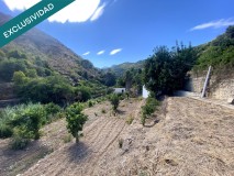 Foto15