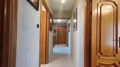 Foto20