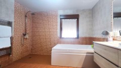 Foto6