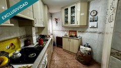 Foto8