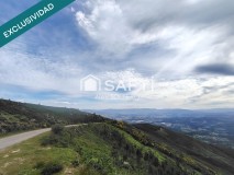 Foto34