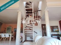 Foto19