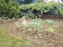Foto10