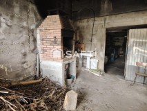 Foto49