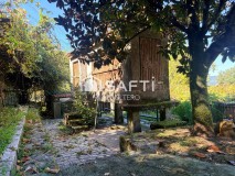 Foto4