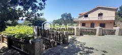 Foto42