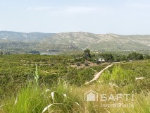 Foto31