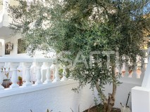 Foto9