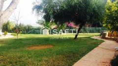 Foto3