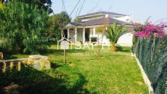 Foto5