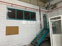 Foto9