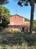 Foto1