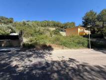 Foto18