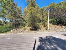 Foto17
