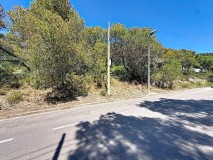 Foto14