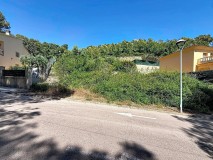 Foto9