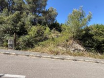 Foto4