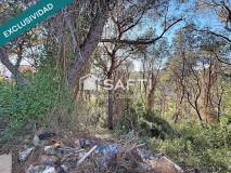 Foto6