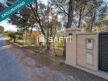 Foto17