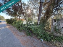 Foto12
