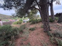 Foto20
