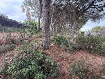 Foto12