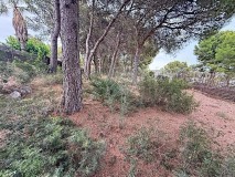 Foto8
