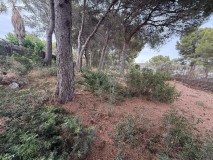 Foto13