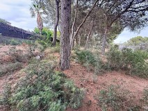 Foto11