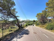 Foto5