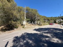 Foto19