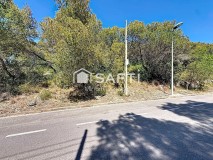 Foto3