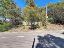 Foto11