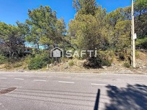 Foto12