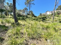 Foto8