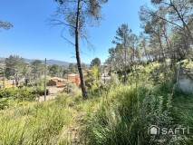 Foto4