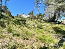 Foto6